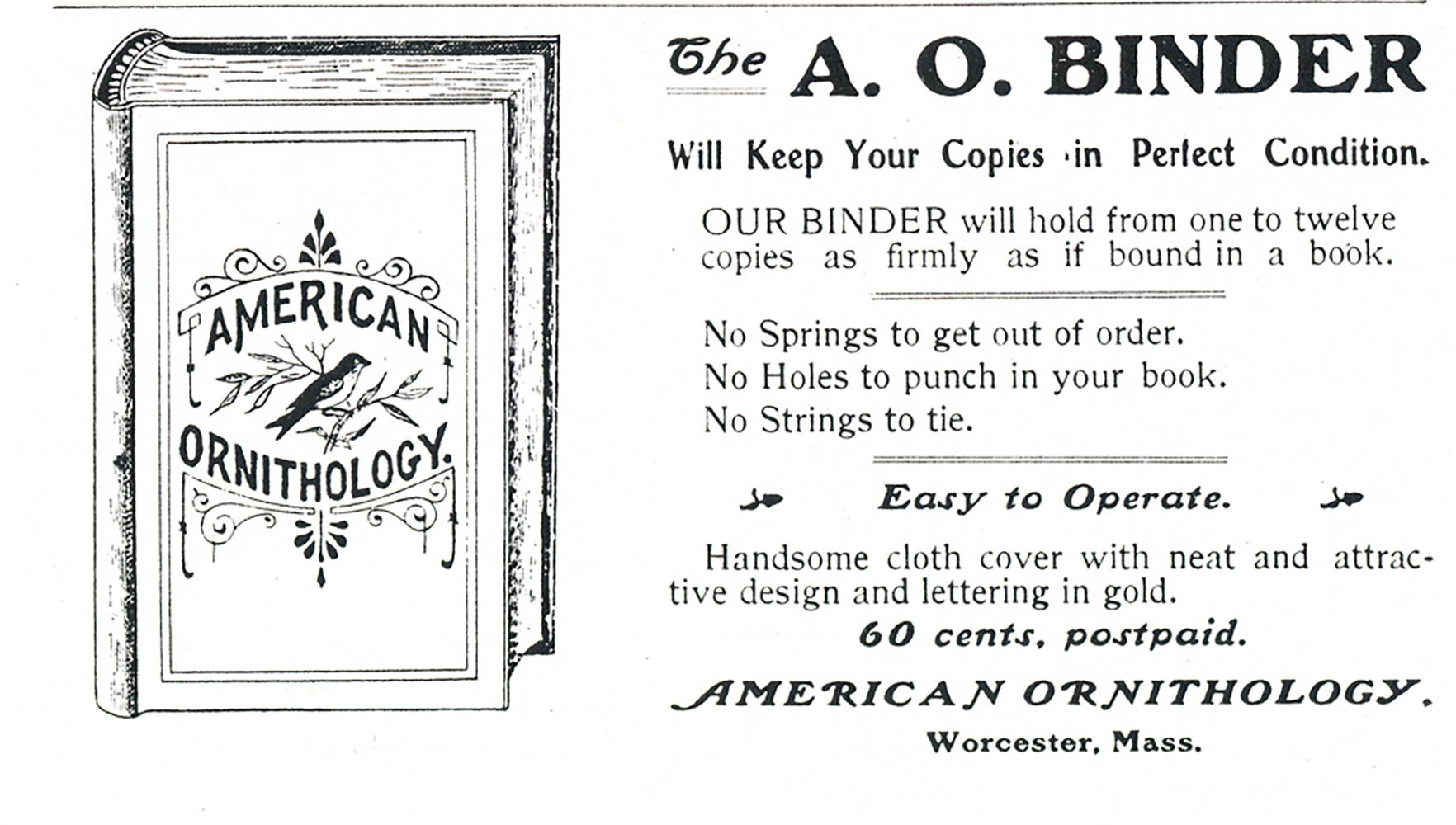 AO-Binder-jan-1902