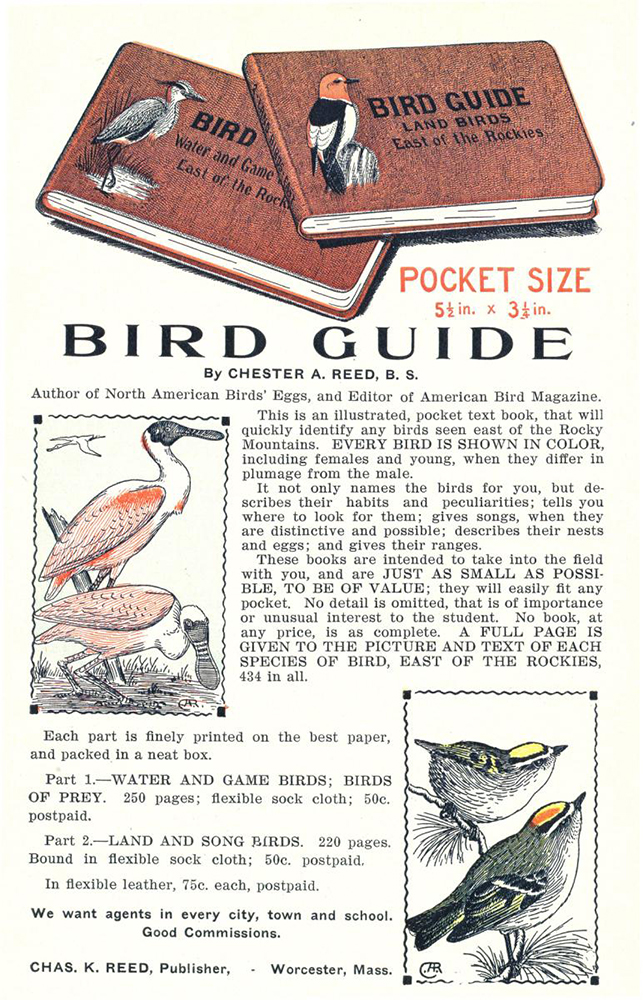 AO-Bird-Guide-pub-mai-1906