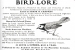 Bird-Lore-juin-1904-800