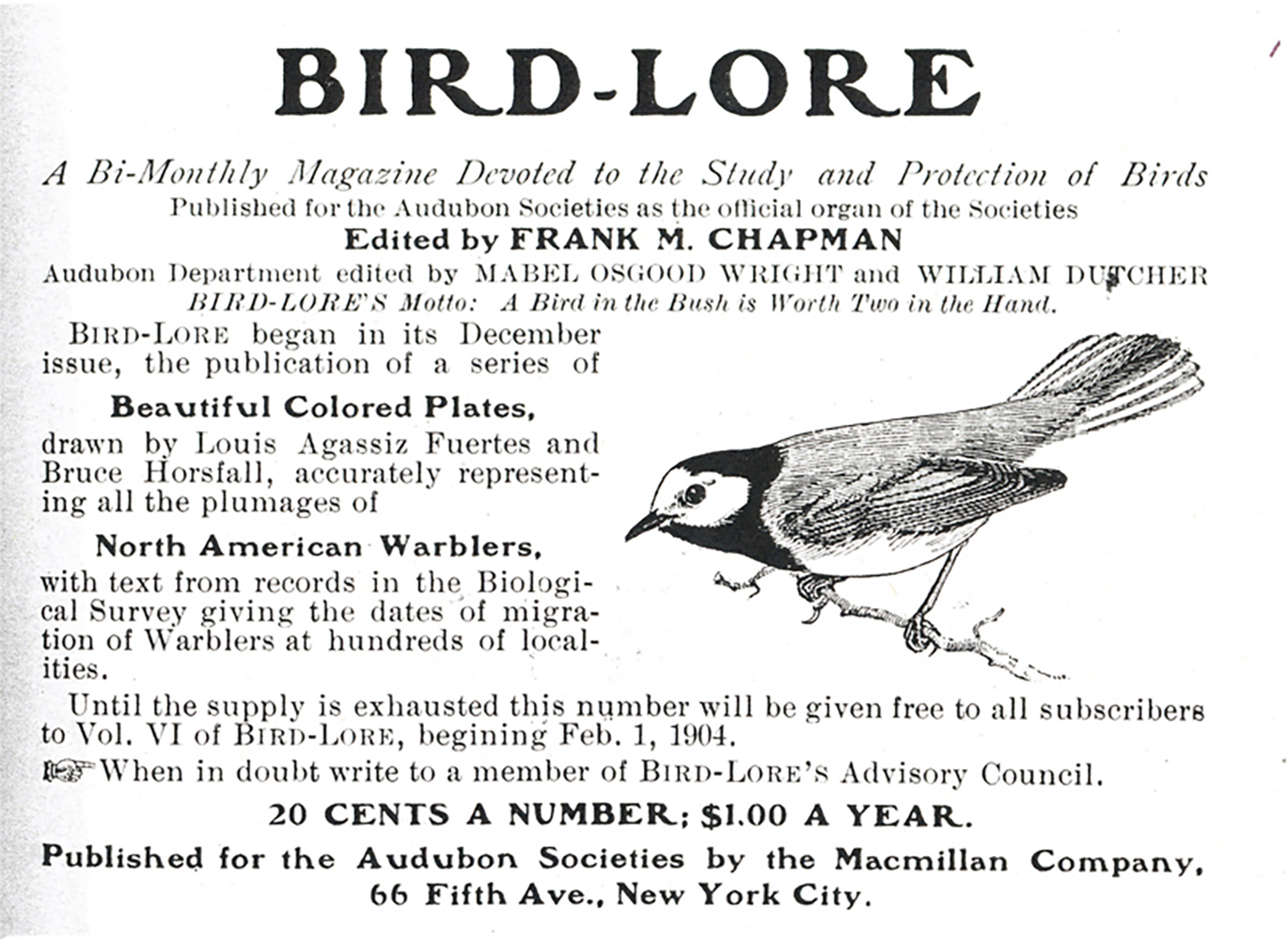 Bird-Lore-juin-1904-800