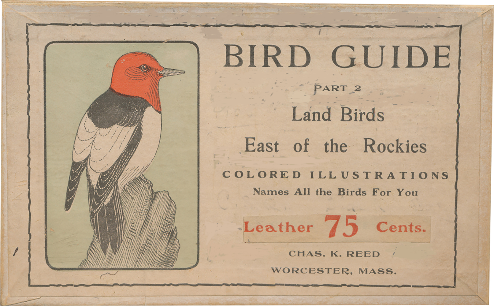 Box-Bird-guide-1905