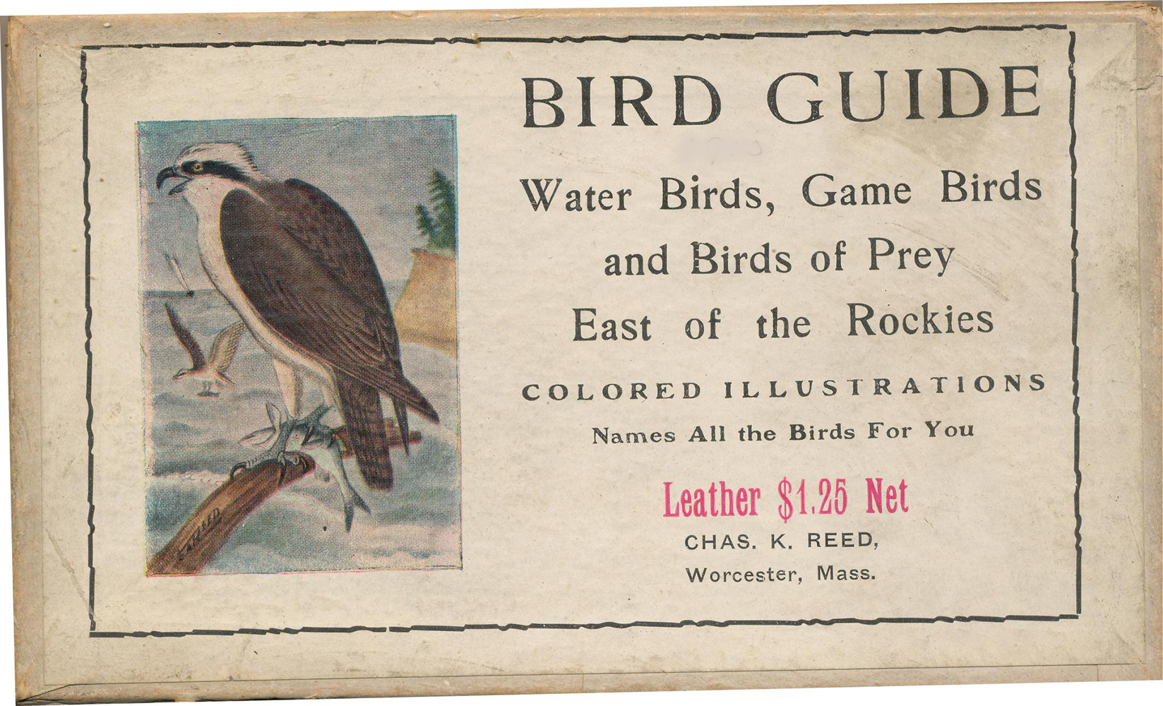 Box-bird-guide