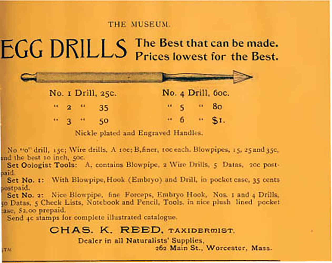 Egg-Drill-1896-460