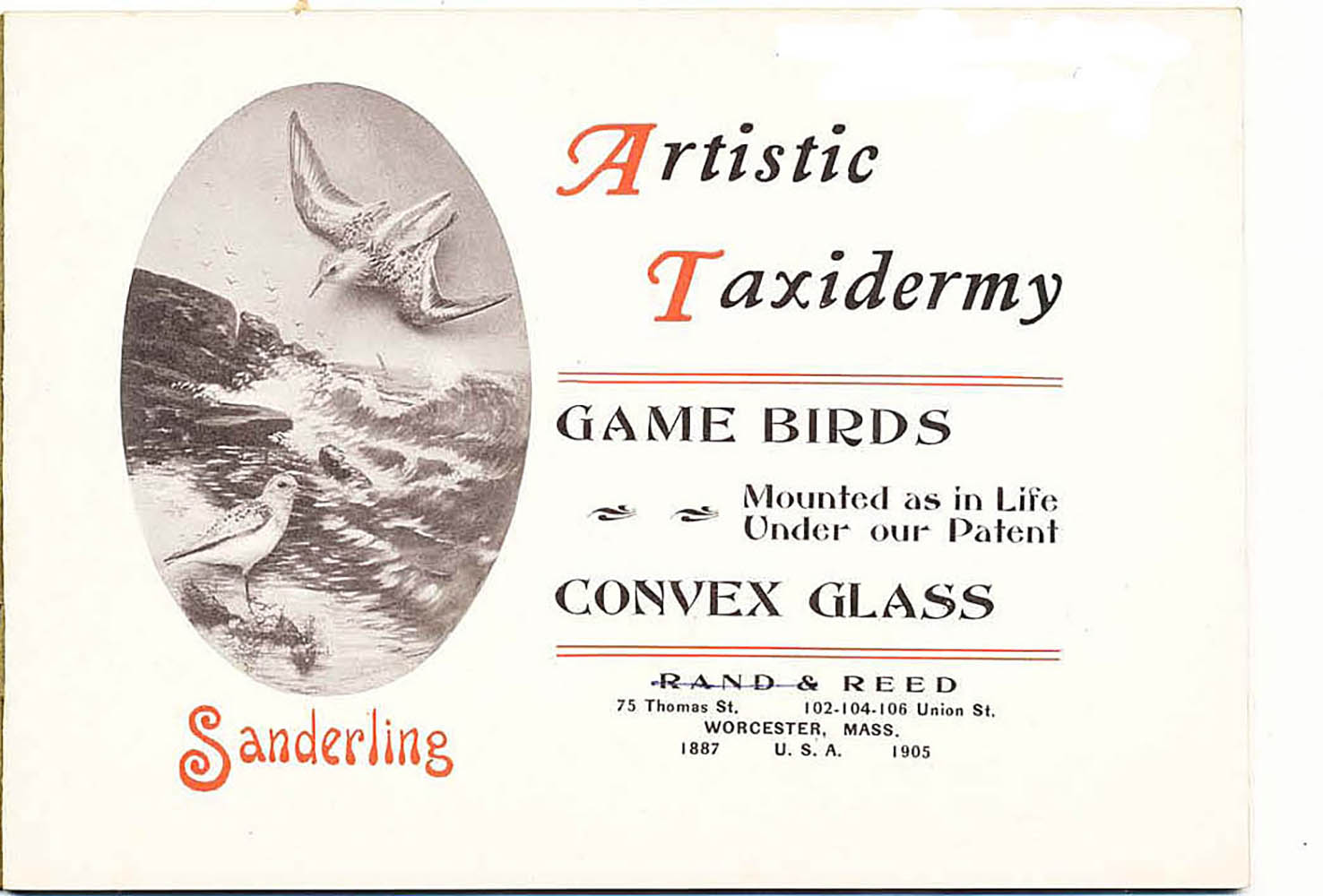 Gam-bird-catalogue