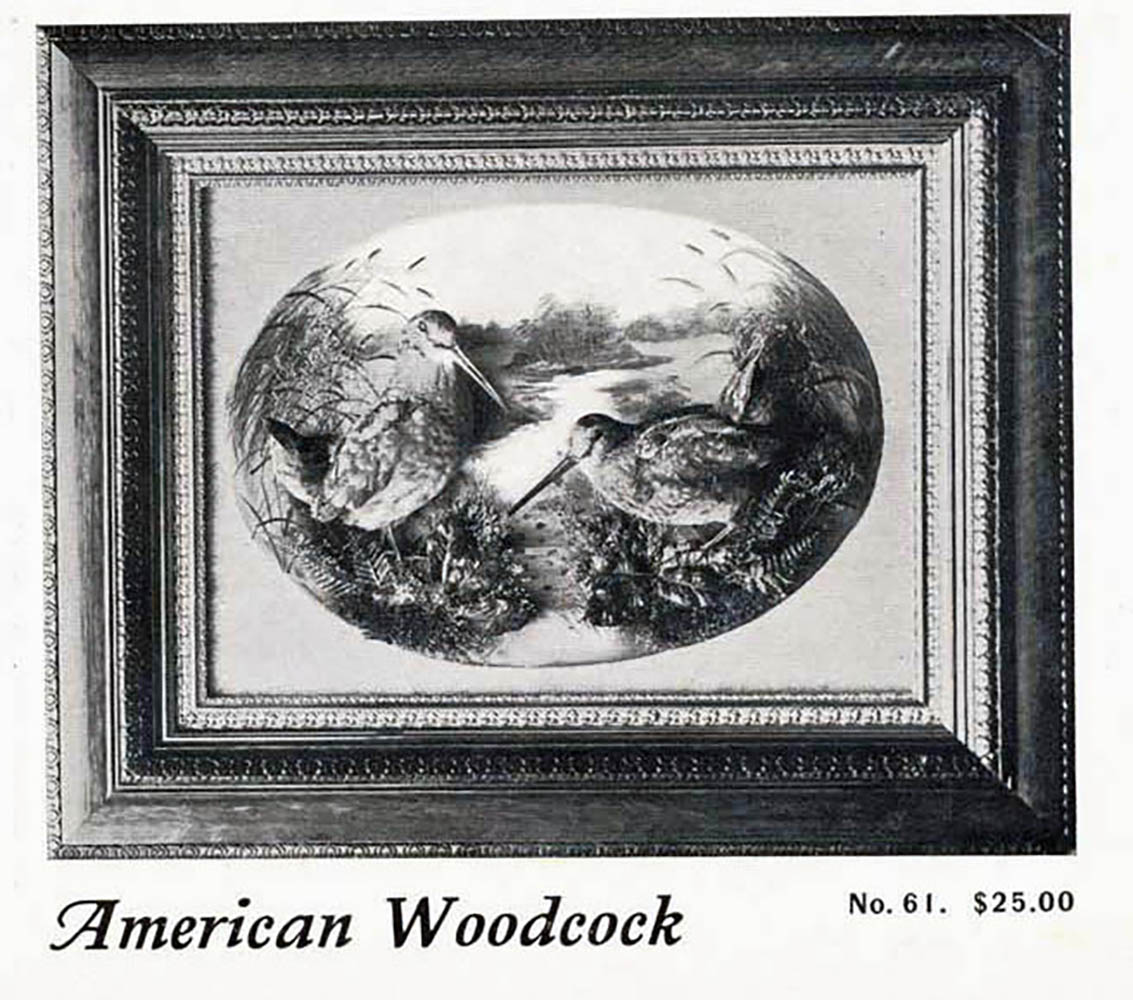 Gam-bird-woodcook-61-600