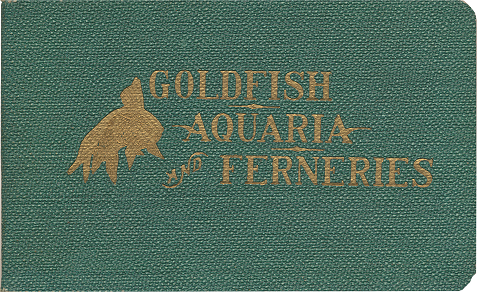 Goldfish-1908-800