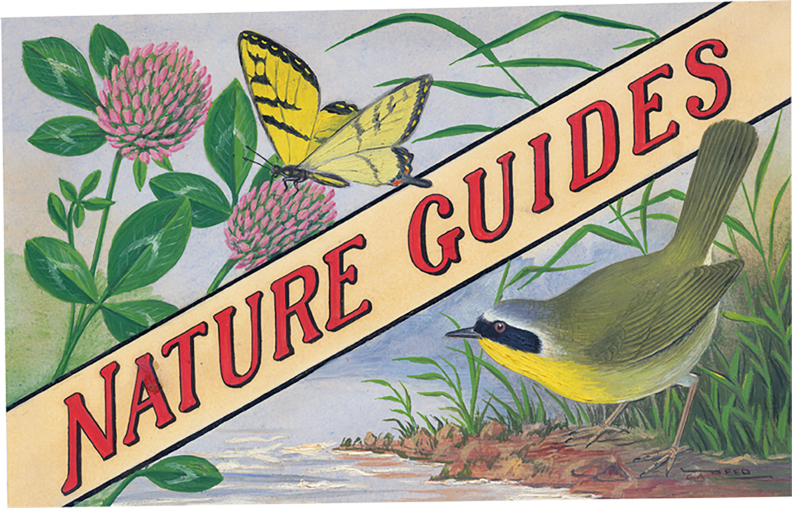 Nature-Guide-800