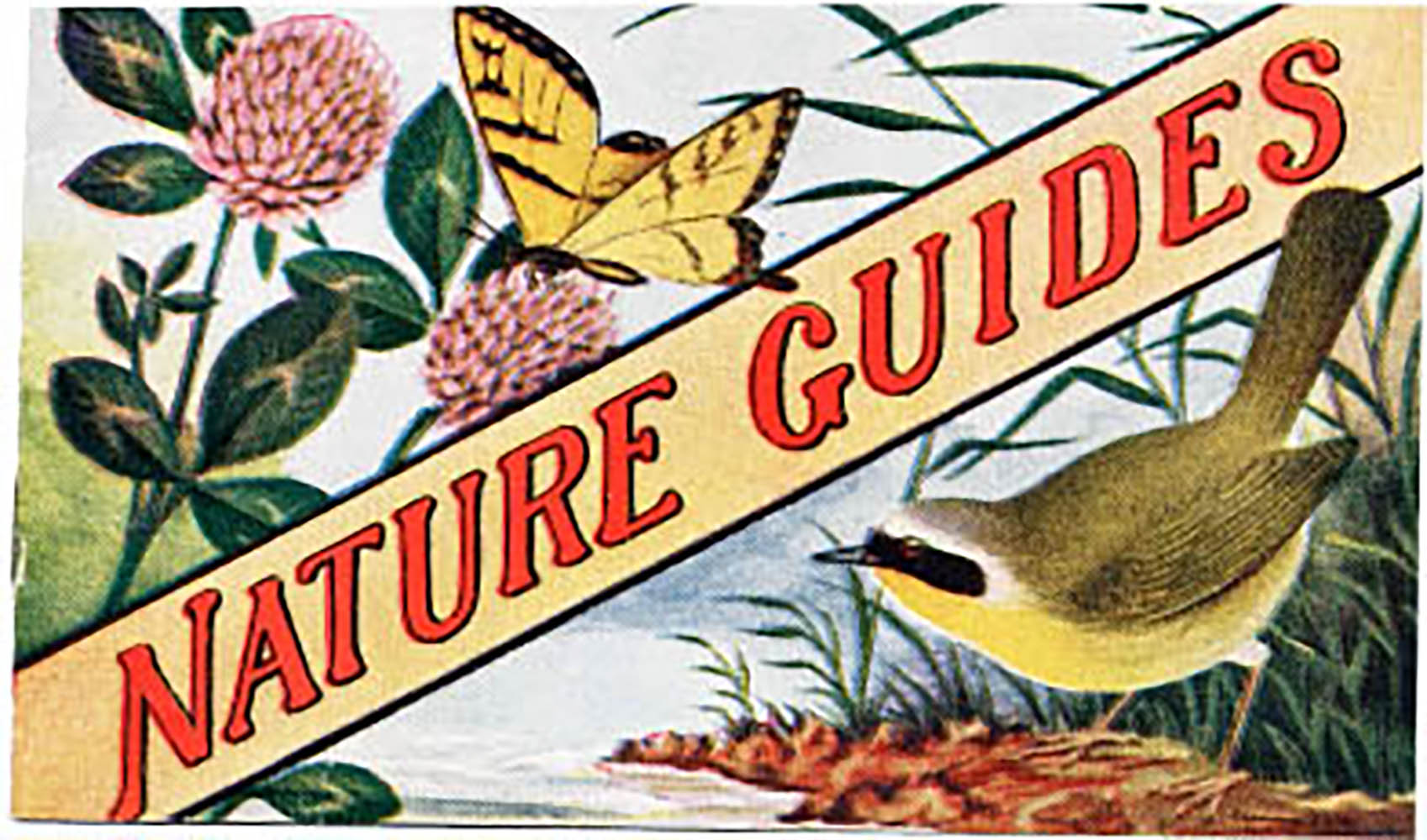 Nature-Guides-400