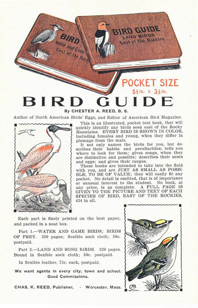 Pub-Birds-guide-800