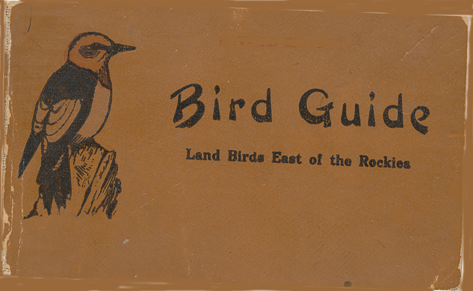bird-guide-2-cover-2