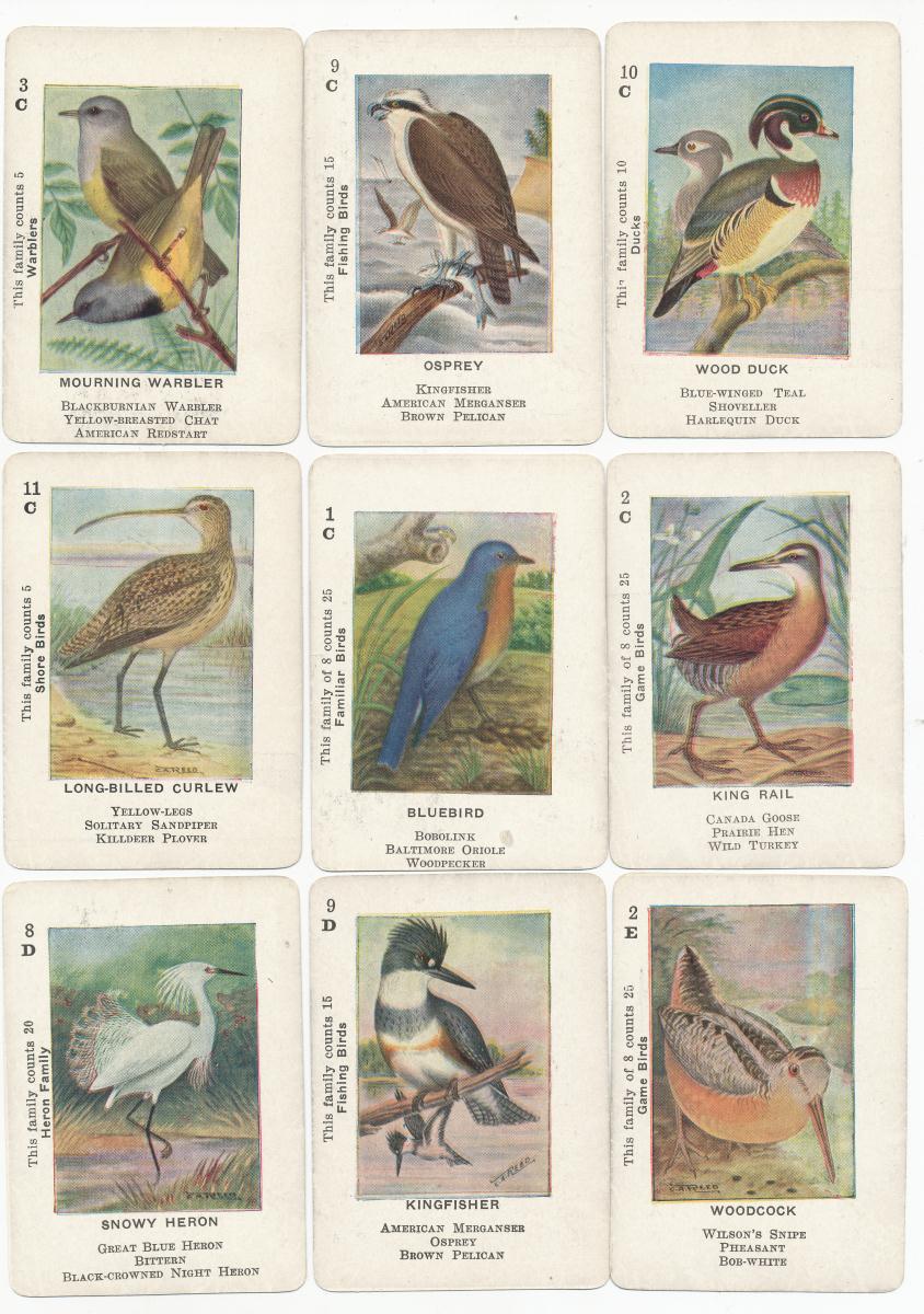 cartes-oiseaux_0001