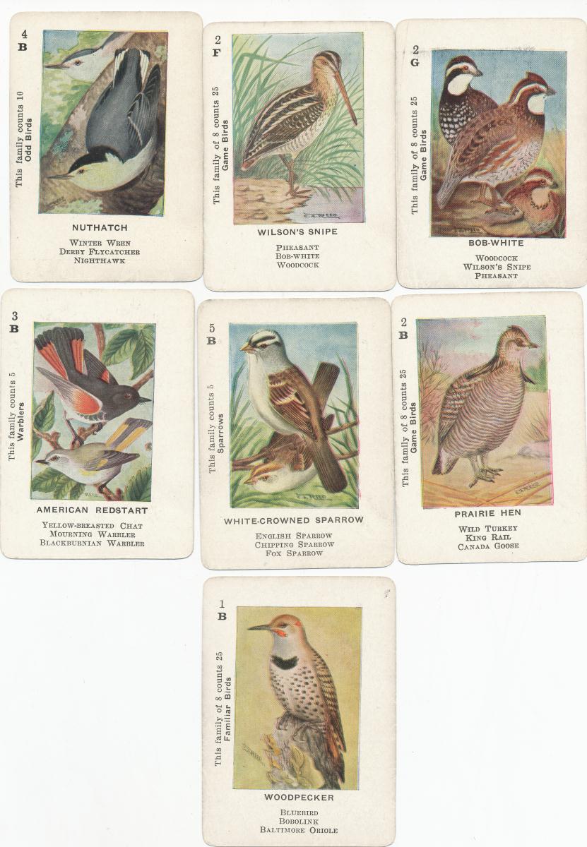 cartes-oiseaux_0005